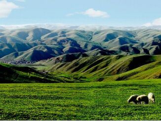 Mongolia Interior acelera el desarrollo de la industria del hidrógeno verde