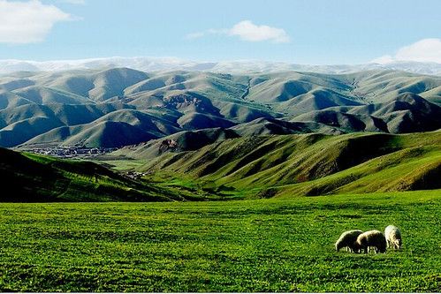 Mongolia Interior acelera el desarrollo de la industria del hidrógeno verde