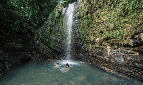 El latido verde y azul de Puerto Rico: un Caribe para sentirlo